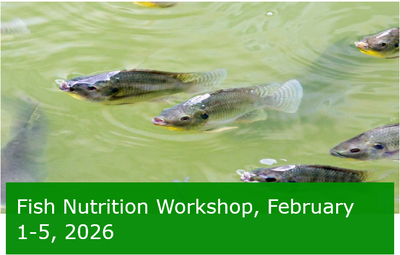 Fish Nutrition Workshop February 1-5 2026 - WUR