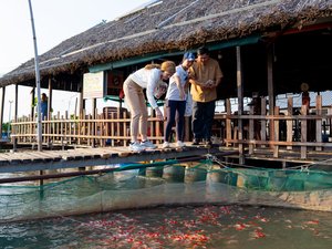 Fish farm Vietnam