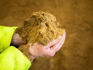 Fishmeal in hand