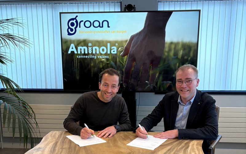 Foto persbericht Groan-Aminola