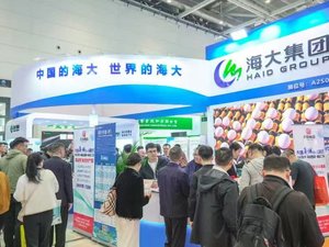 Haid Group