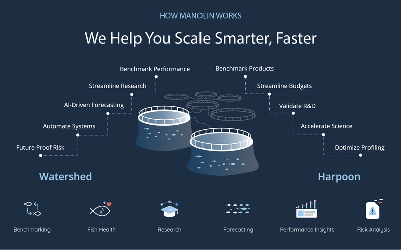 How Manolin Works