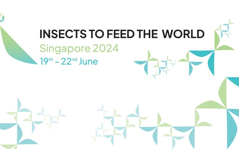 IFW24_Homepage Banner 1903 x 599 px-06a