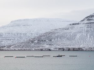 ISAFJORDUR_ICELAND_aquaculture_farm_outside_Isafjordur_westfjords