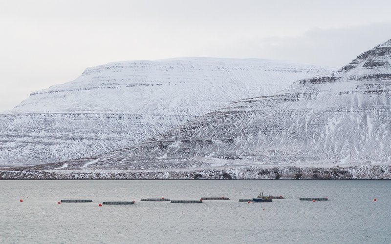 ISAFJORDUR_ICELAND_aquaculture_farm_outside_Isafjordur_westfjords
