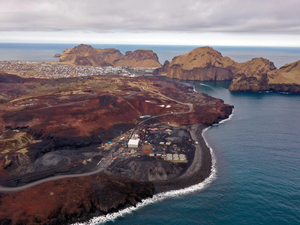 Iceland-farm