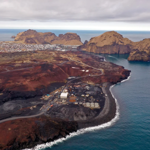 Iceland-farm