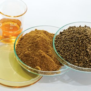 Ingredients_shutterstock_2371647321