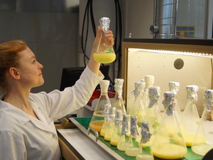 Iris+with+Microalgae+Flask