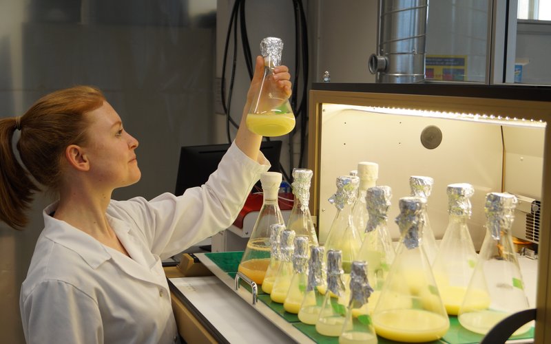 Iris+with+Microalgae+Flask