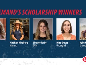 LANNA_Scholarship_Winners_Post_1200x639