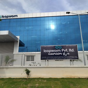 Loopworm Factory(1)