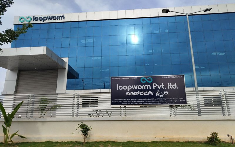 Loopworm Factory(1)