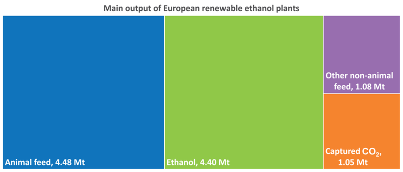 Main-output-2-002-1024x439