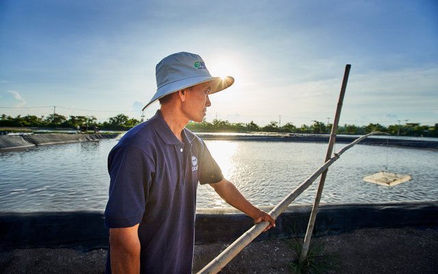 Man working at aquaculture nursery_02966_V2
