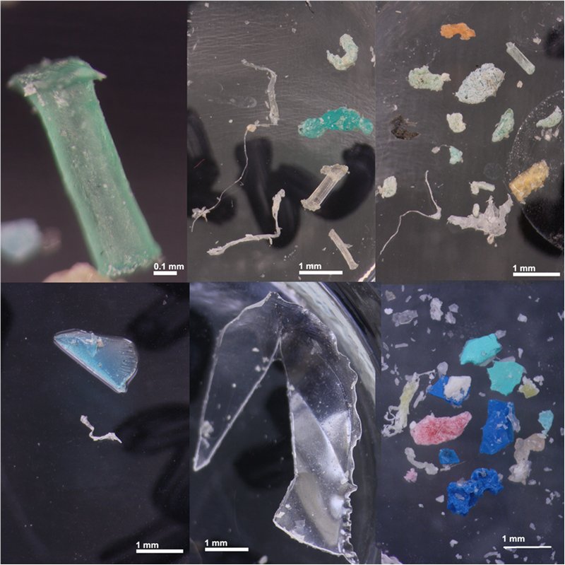 Microplastics