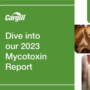 MycotoxinReport_socialmedia1