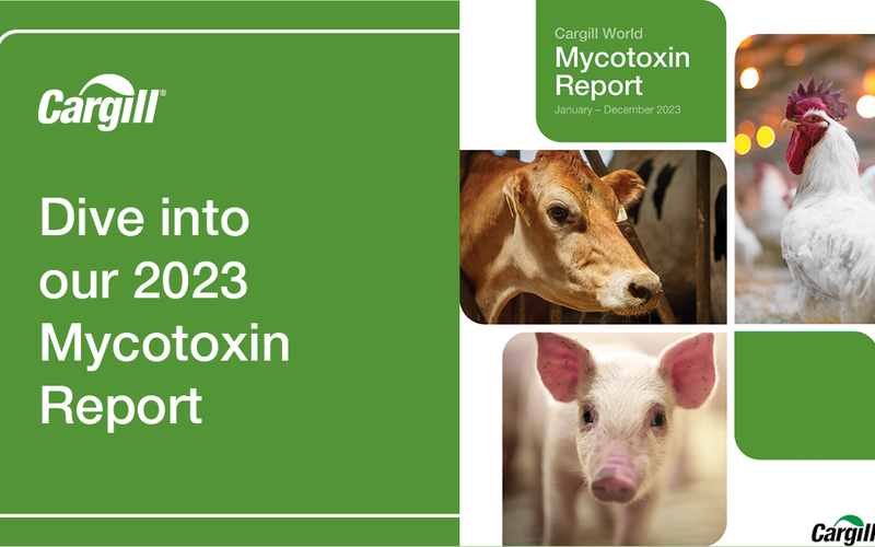 MycotoxinReport_socialmedia1