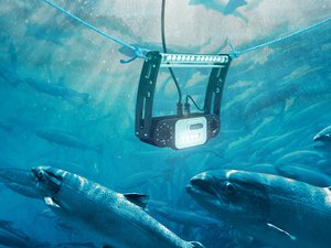 NEW-Falcon-G2-Underwater_Wide_2025_2400px