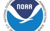 NOAA Oceans and Human Health Initiative Underway With Hollings Marine Lab, Partners