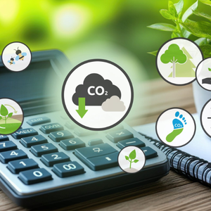 NewsletterAug25-CO2-calculator