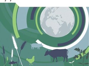 OECD
