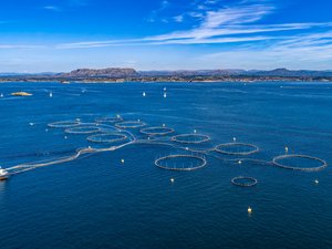Offshore Fish Farm