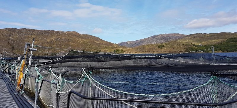 Omega3_scotland_fish_trial