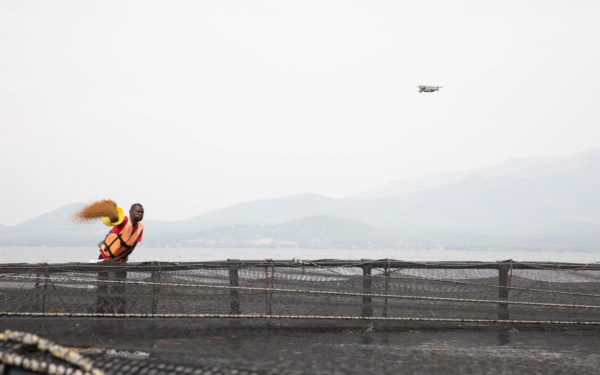 Picture-1-600x401