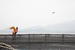 Picture-1-600x401