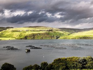 SAIC_Portnalong_fish_farm