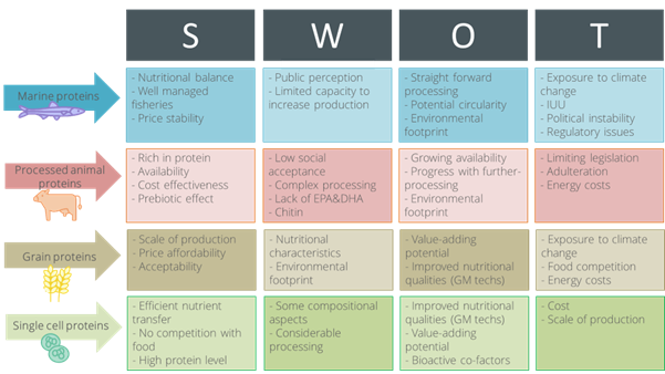 SWOT table_0