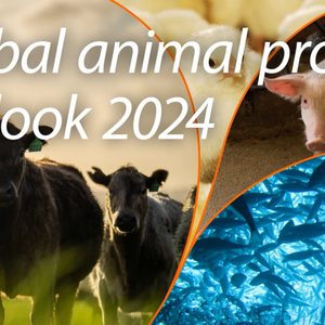 Screenshot 2023-12-01 at 18-29-35 Global animal protein outlook 2024 Adapting to structural changes to sustain success