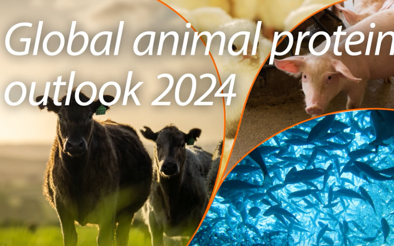 Screenshot 2023-12-01 at 18-29-35 Global animal protein outlook 2024 Adapting to structural changes to sustain success