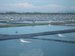 Shrimp Farm in Malaysia