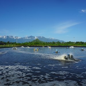 Shrimp farm