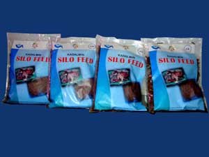INDIA - Formulated feed for marine cultivable carnivorous fish  released