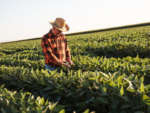 Soy Farmer