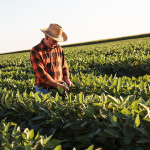 Soy Farmer