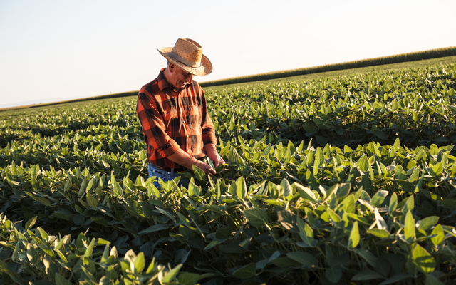 Soy Farmer