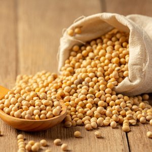 Soybean_Image by jcomp on Freepik