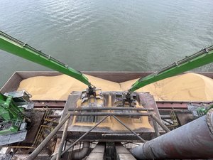 Traceable_soybean_loading