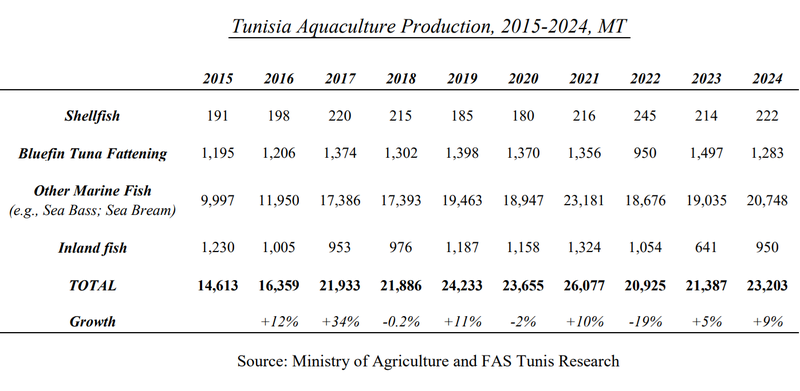 Tunisia production