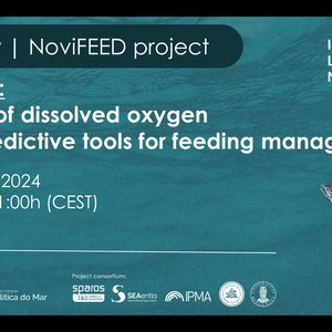 Webinar