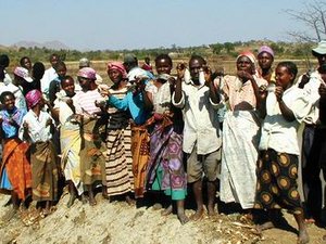 Selection program gives faster growth of indigenous tilapia in Malawi