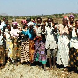 Selection program gives faster growth of indigenous tilapia in Malawi