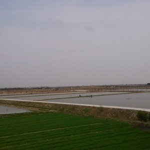 Zhihua_China fish farm