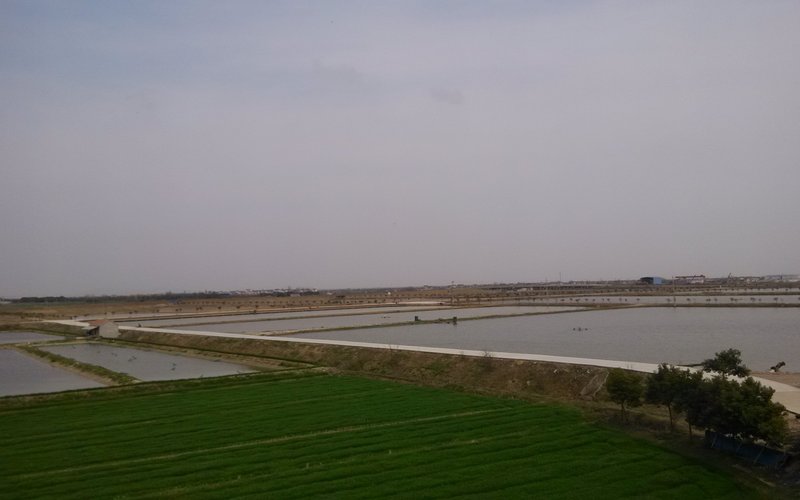 Zhihua_China fish farm