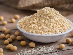 adobestock_172774982