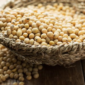 canva-soybean-MAE9HZQXB5Y